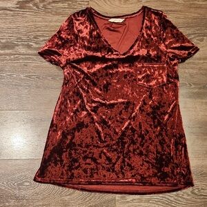 Elegant Velvet V-Neck Short Sleeve Top in Deep Red